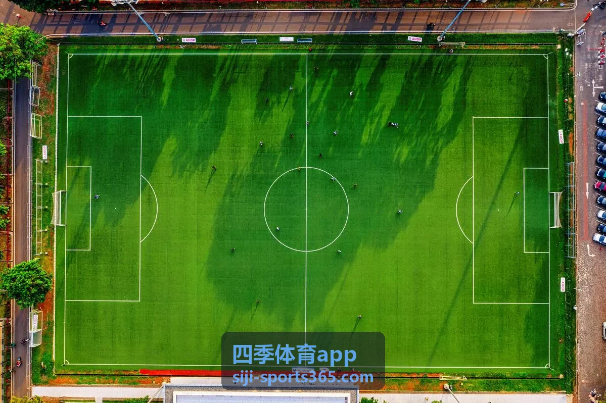 四季体育app界面展示